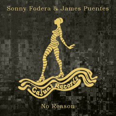 Sonny Fodera & James Puentes - No Reason (Secondcity Remix)
