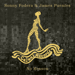 Sonny Fodera & James Puentes - No Reason (Luca Donzelli and Mar T Remix)