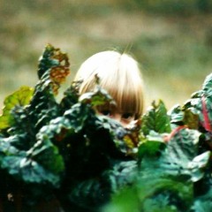 Raindrops and Ruby Shoes