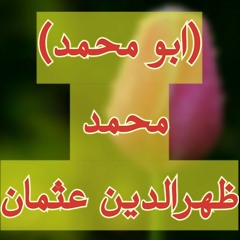 Tarbiya A Wajen Mara Shi?