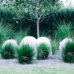 König Wahnsinn regiert