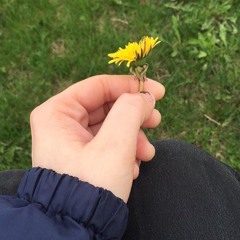 I Like You - Dandelion Hands Cover