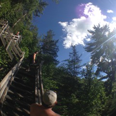 the sycamores prod. ʎpoqou (w/ lyrics)