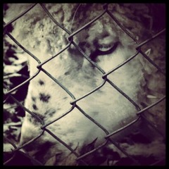 JEkbom - Criminal Girl-(David Bowie) Cover