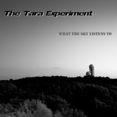 _ synth punk / experimental _Set 13