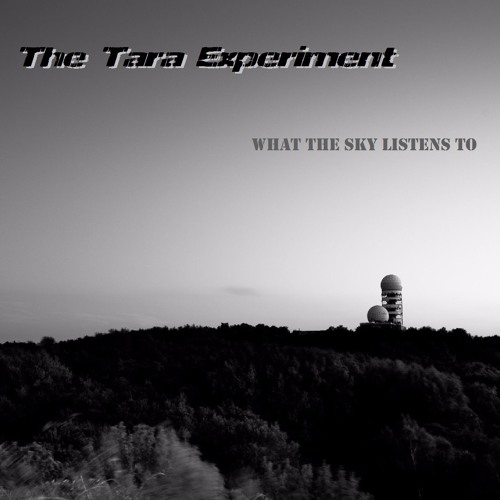 _ synth punk / experimental _Set 13