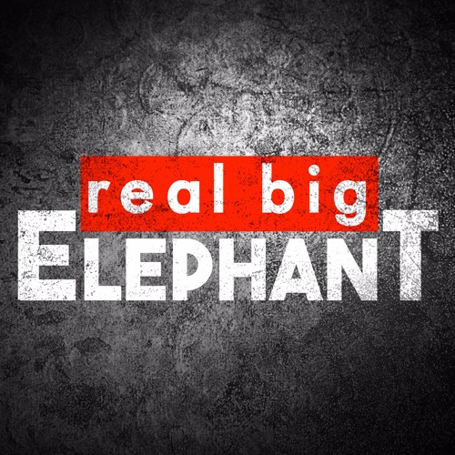 Real Big Elephant