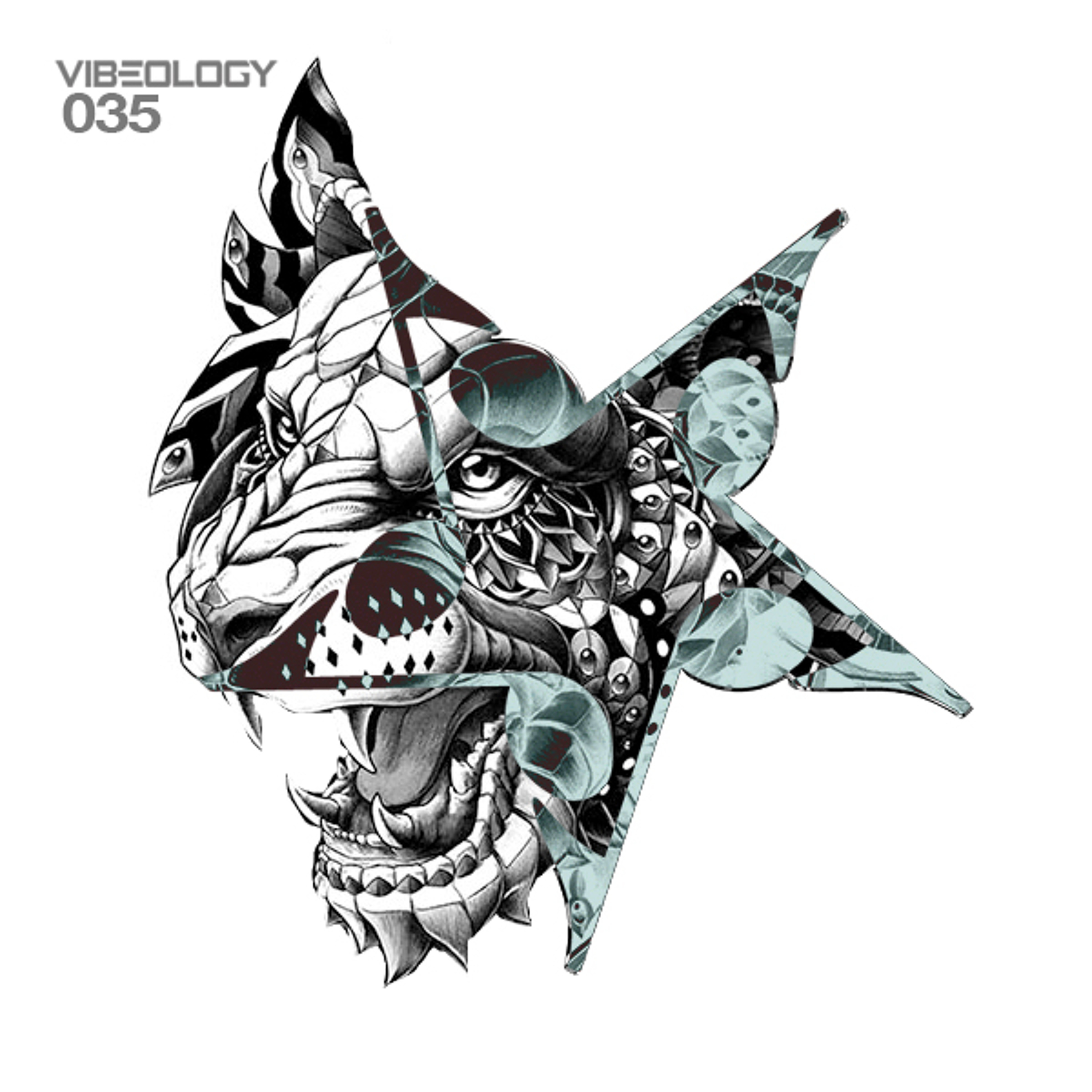 Vibeology Podcast