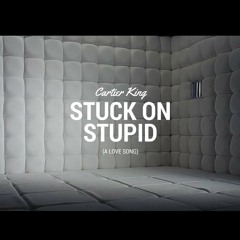 Stuck on Stupid