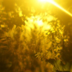 SunVox music. Best of July 2016