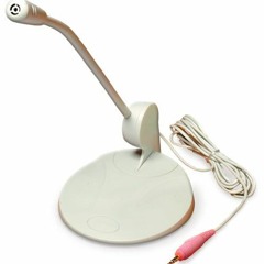 The Innocent - สักวัน Cover