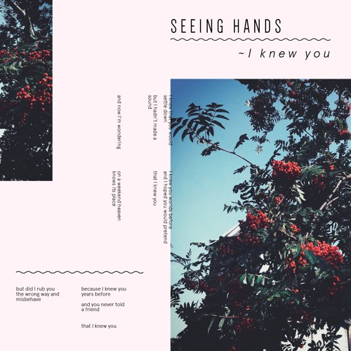 Image result for Seeing Hands - 'I Knew You'