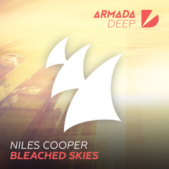 Niles Cooper - Bleached Skies [OUT NOW]