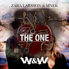 The One vs. Never Forget You (W&W Tomorrowland Mashup)