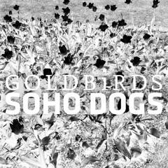 Soho Dogs