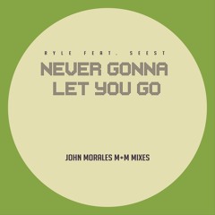 Ryle feat. Seest - Never Gonna Let You Go (M+M Main Mix) - 96 kBit/s