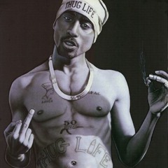 2pac - Cause I Had Too