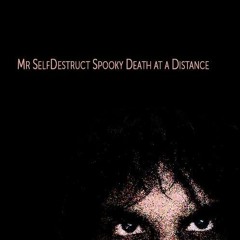 Mr. SelfDestruct - Untitled (Instrumental Demo)