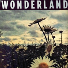 es prasselt aus jeder Ecke