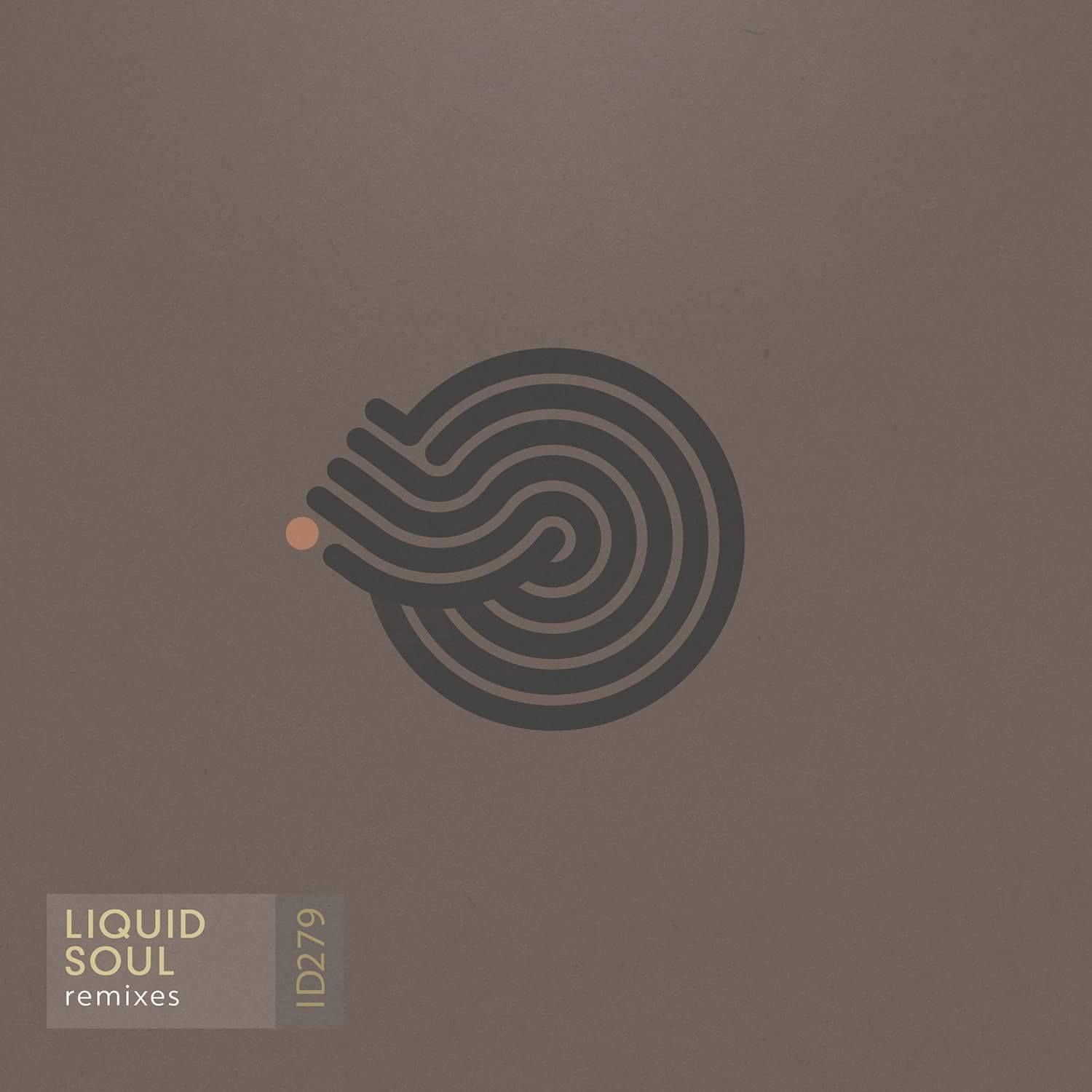 ダウンロード Liquid Soul - Devotion (Suduaya Downbeat remix)