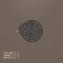 Liquid Soul - Devotion (Suduaya Downbeat remix)