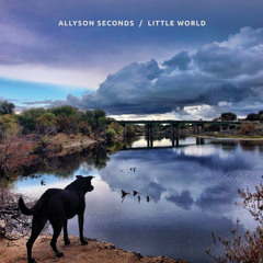 Little World - Allyson Seconds