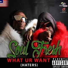 What Ur Want( Haters )_Prod.by Stone Luckshine