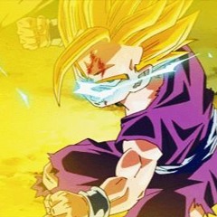 DBZ Budokai - Warrior From An Unknown Land Cover 94Stones