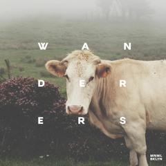 Wanderers