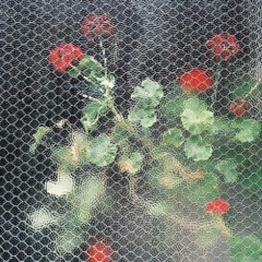 shrimpnose - ¿don't i? [EP]  (****ALBUM MOVIE IN DESCRIPTION****)