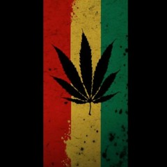 R.D&B - Rastafarando Producer