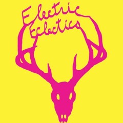 Live Recording- Techno DJ Set- Maria Chavez for Electric Eclectics Fest 2016