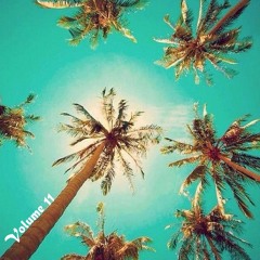 Let's Get Tropical Volume 11