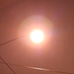 4 | Swimming Upstream