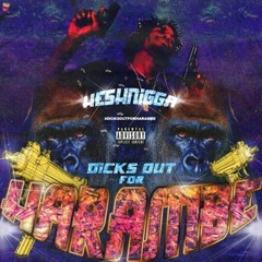 30 KLIP