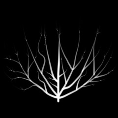 Carnal Creature Demo (instrumental version)