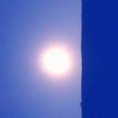 you should've known better!