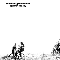 Norman Greenbaum - Spirit in the Sky 2016 Remix