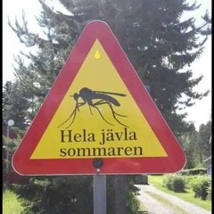 Sommar Snus Och Sex (Inte Ett Öre Edit)