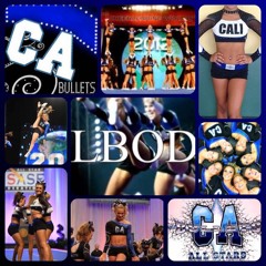 2012 California Allstars Lady Bullets v3