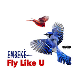 Fly Like You- QznKite