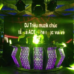 Nonstop - Fly Vol.28 - Play Music Vina House 2016 - DJ Triệu Muzik Mix