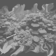 Where Is My Mind