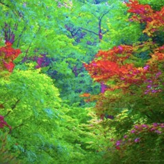 Offshore (feat. OG Taxx of 808 Mafia)