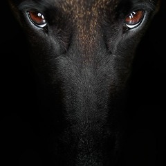 Can't Stop Pressing Replay