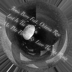 Jamie Berry Feat. Octavia Rose - Lost In The Rhythm ( Mr. Pete Parell & Liero The Sax Remix )