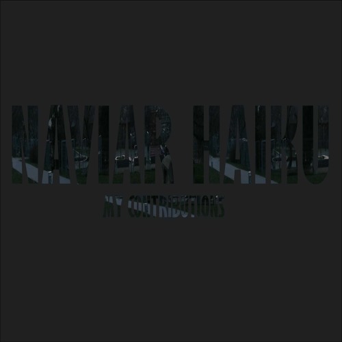 MY CONTRIBUTIONS TO NAVIAR HAIKU