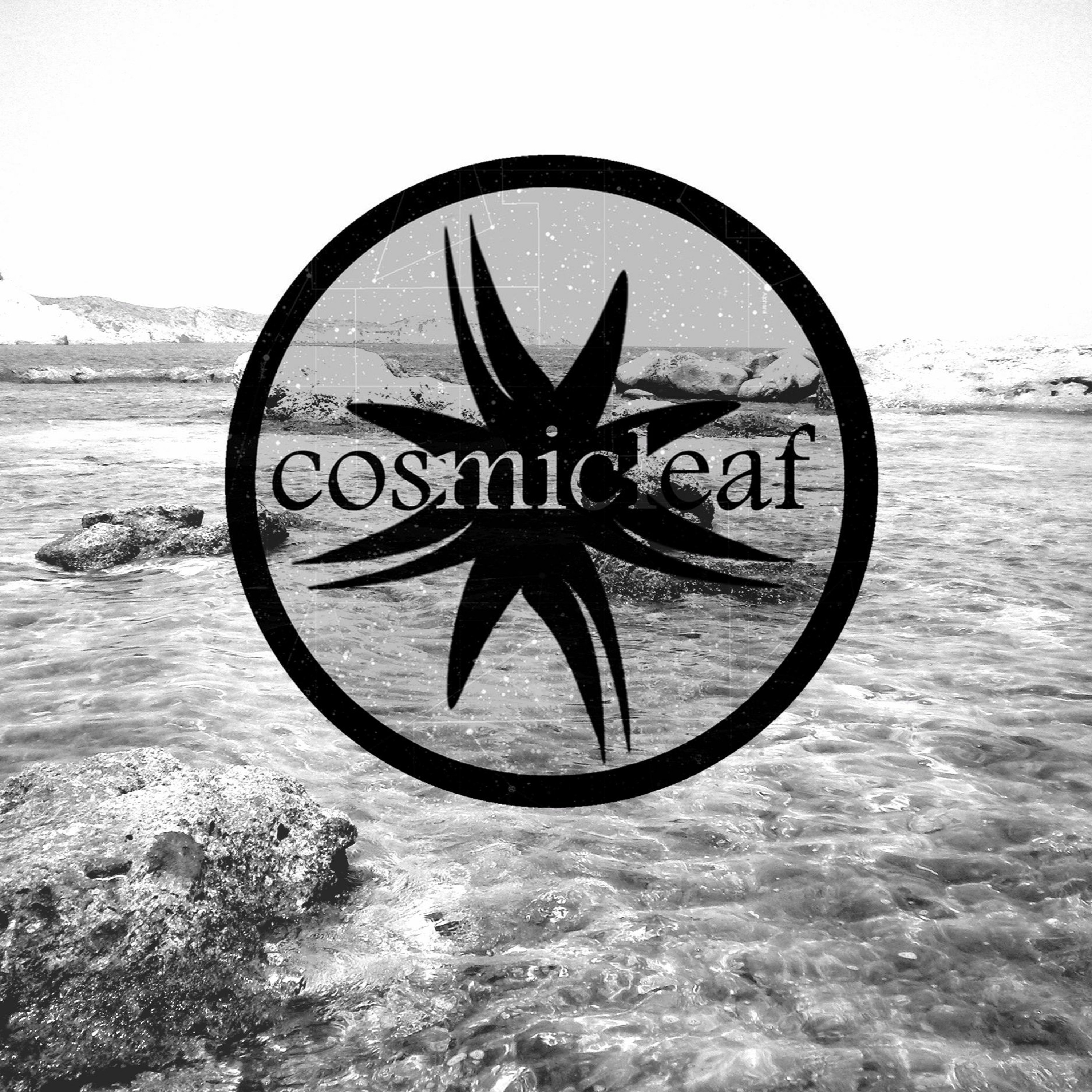 Side Liner (#downtempo) Renil Edis (#techno)