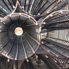 Stranger In A Strange Land