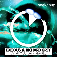 Exodus & Richard Grey - What You Say (Tha Boogie Bandit Remix) [OUT NOW!]